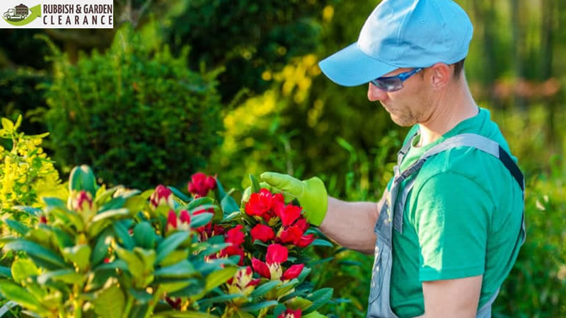 Garden Clearance Merton | Garden Clearance Service
