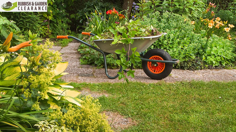Garden Clearance Sutton | Garden Clearance Service
