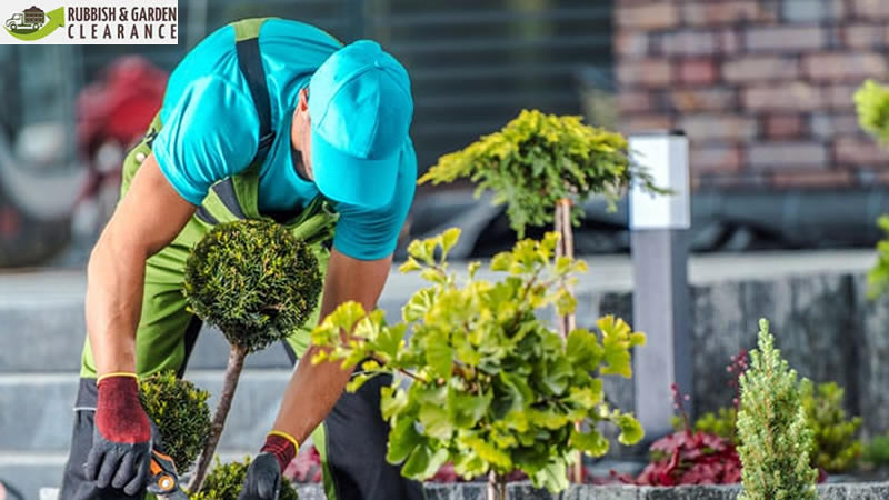 Garden Clearance Merton | Garden Clearance Service
