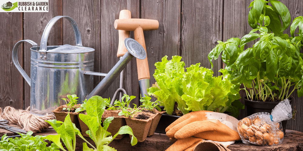 Shape Up Garden with Garden Clearance Services in Croydon